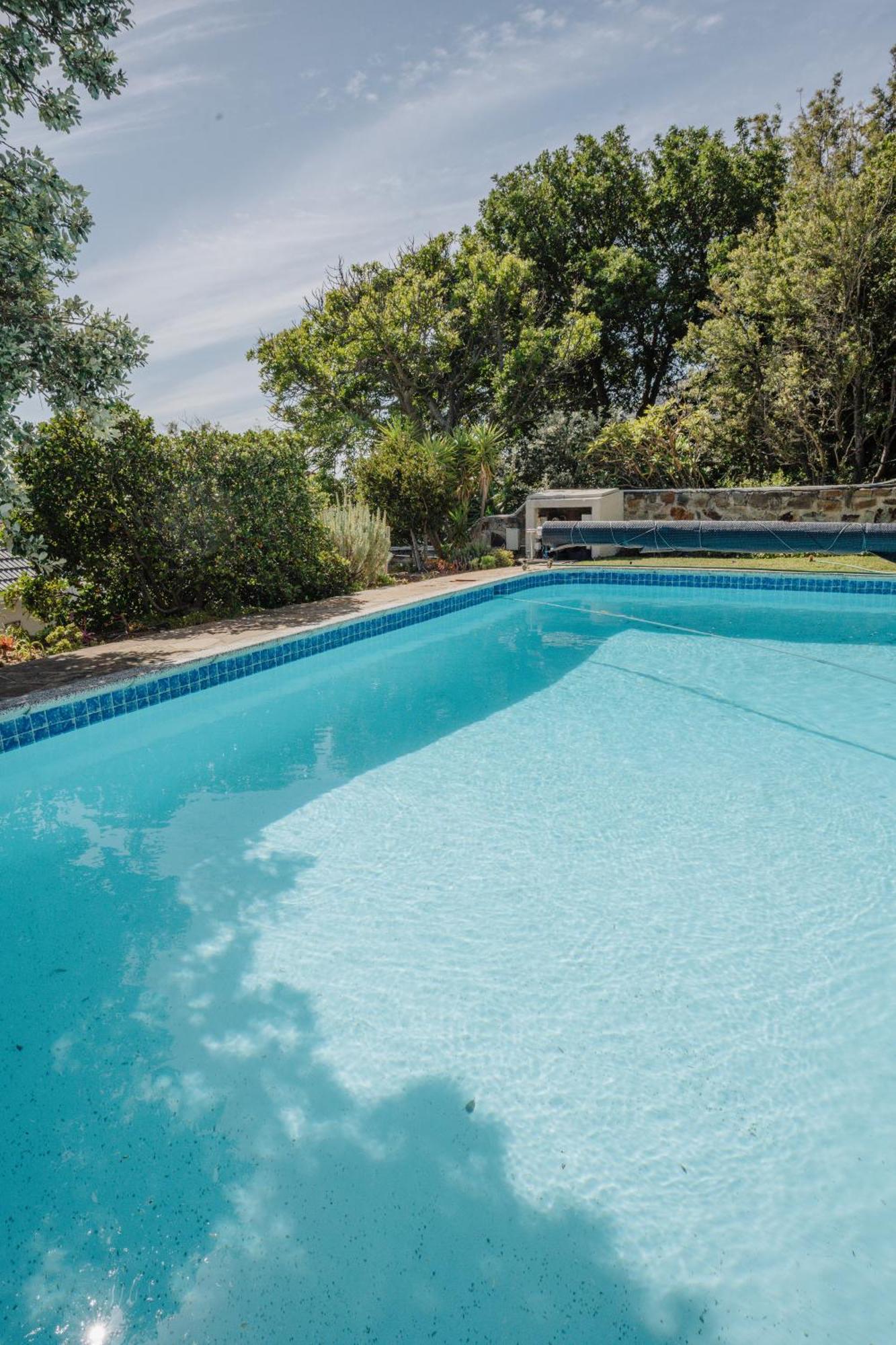 Appartamento Echo Friendly Sunny Contemporary Garden Flat Città del Capo Esterno foto